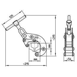 DS206 Morsa diagonale per rotaia