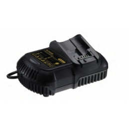 Chargeur 220 V de batterie LI-ION