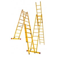 Scala multiuso